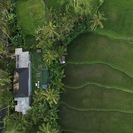 Hatiku Di Bali - Ubud Tegallalang  Luaran gambar