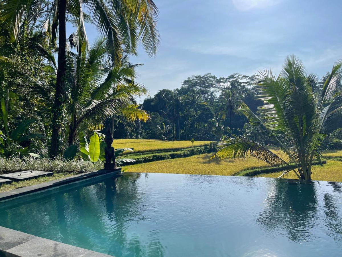 Hatiku Di Bali - Ubud Tegallalang  Luaran gambar
