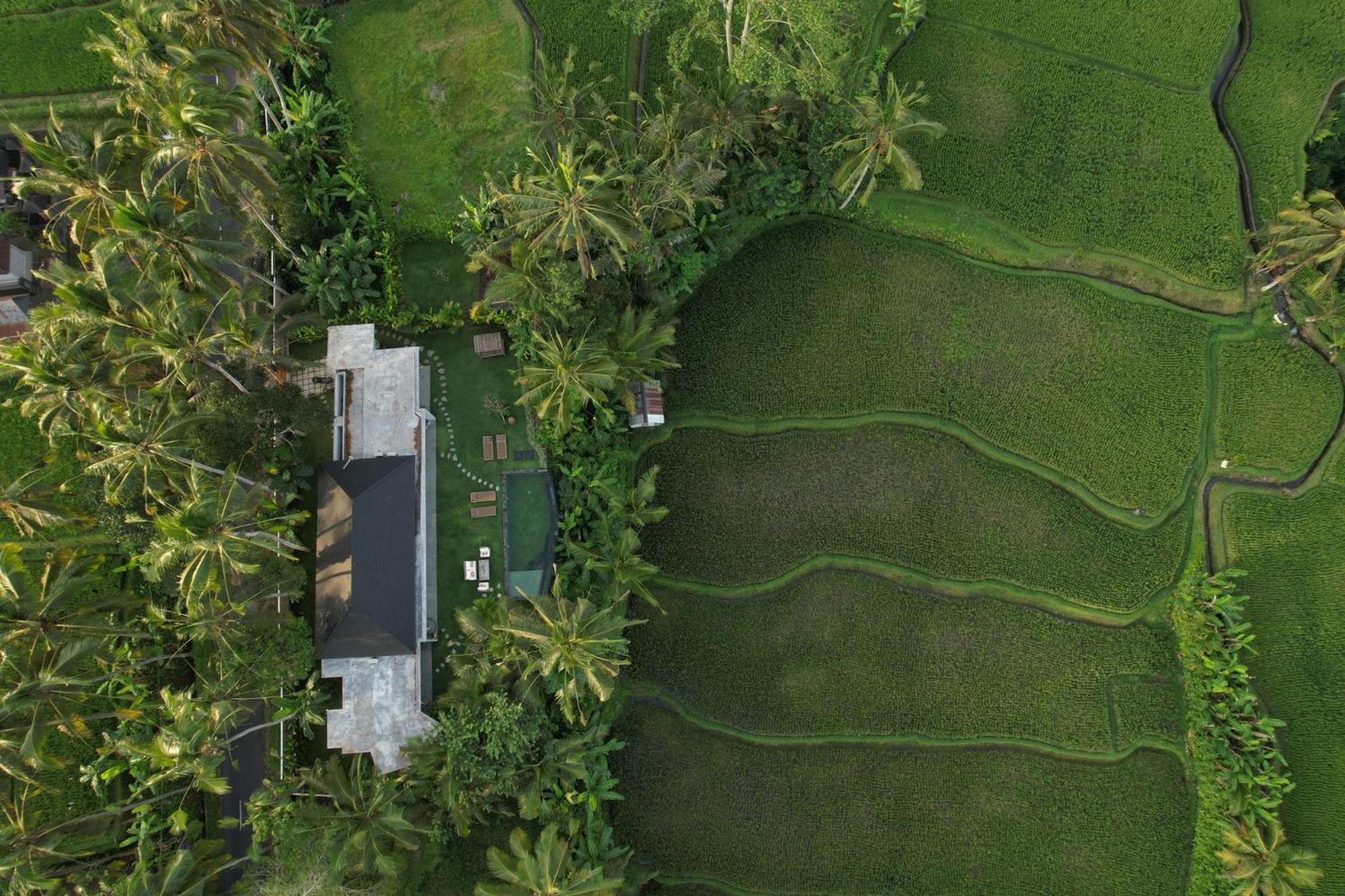 Hatiku Di Bali - Ubud Tegallalang  Luaran gambar